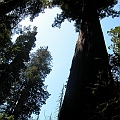 2007 07 03 093